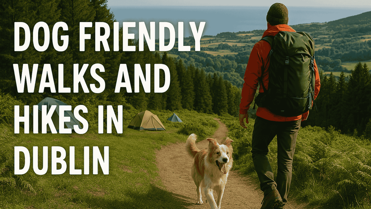 Dog Friendly walks and Hikes in Dublin